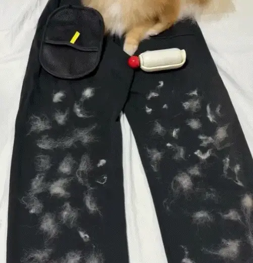 The Magic Brush™ - Buy 1 Get 1 Free - Image 3